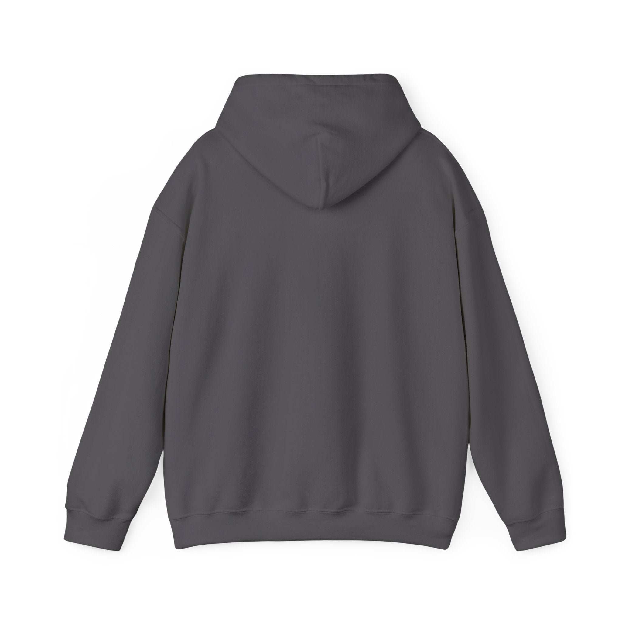 ElevateRise Hooded Sweatshirt