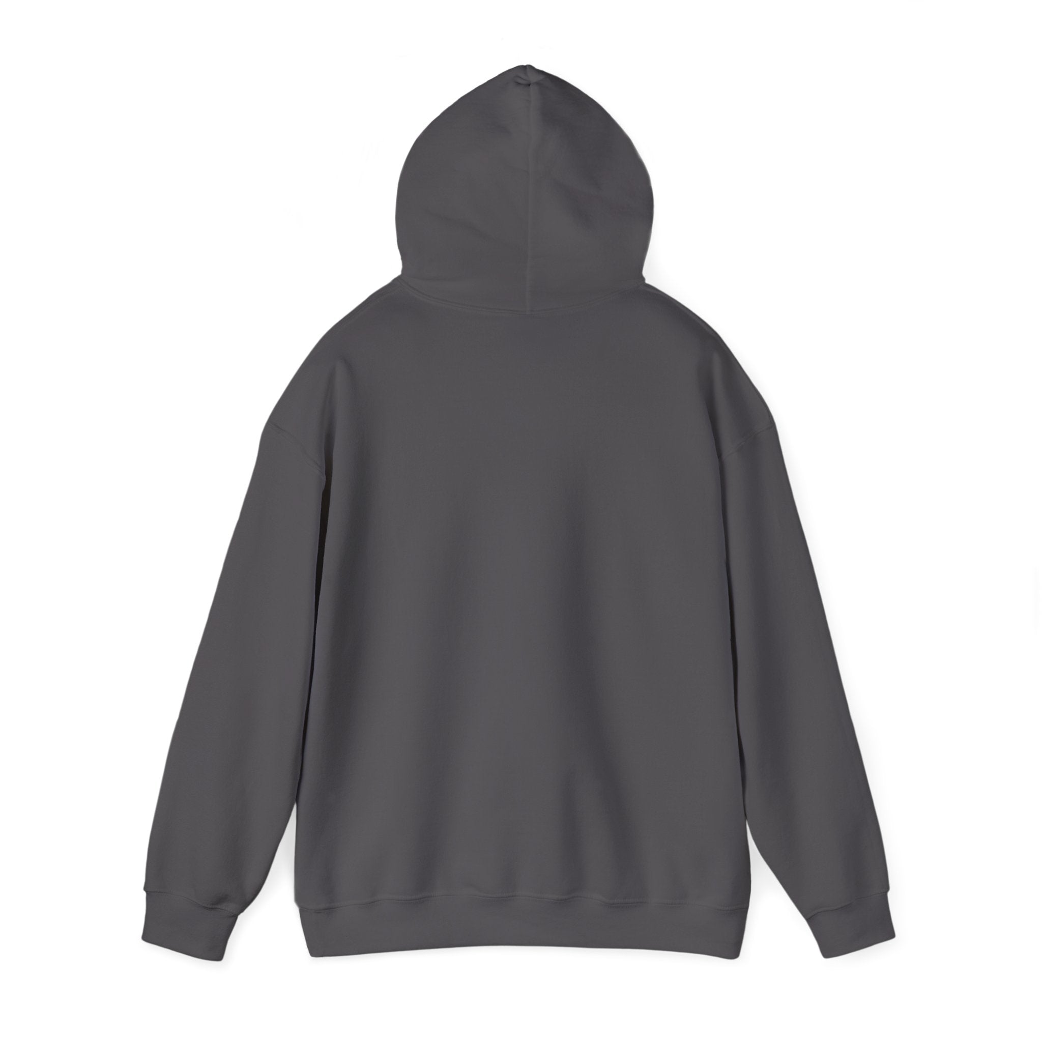 ElevateRise Hooded Sweatshirt